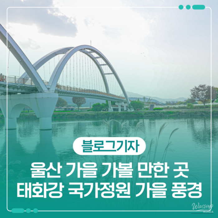 환상적인 장면