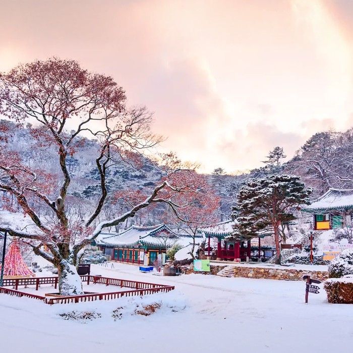 Jeondeungsa Temple covered in white snow with traditional eaves highlighting the winter landscape